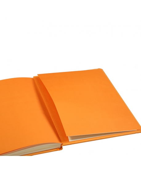 Rhodia Webnotebook A4 orange ligné